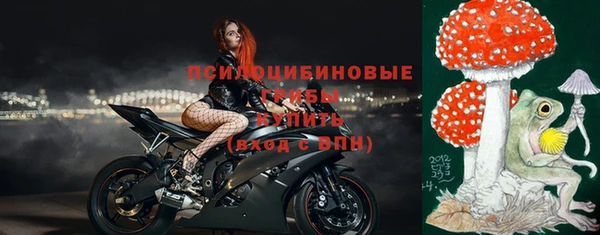 прущий лед Снежногорск