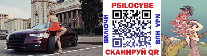 Галлюциногенные грибы Psilocybe наркотики Сурск